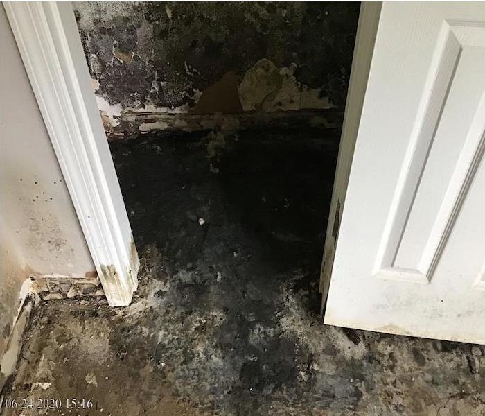The bedroom closet door is open and visible signs of mold exists on the walls and floor.