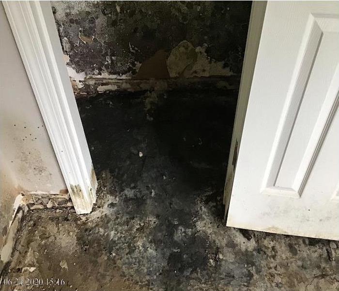 The bedroom closet door is open and visible signs of mold exists on the walls and floor.